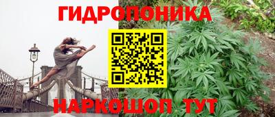 СК Коммунар